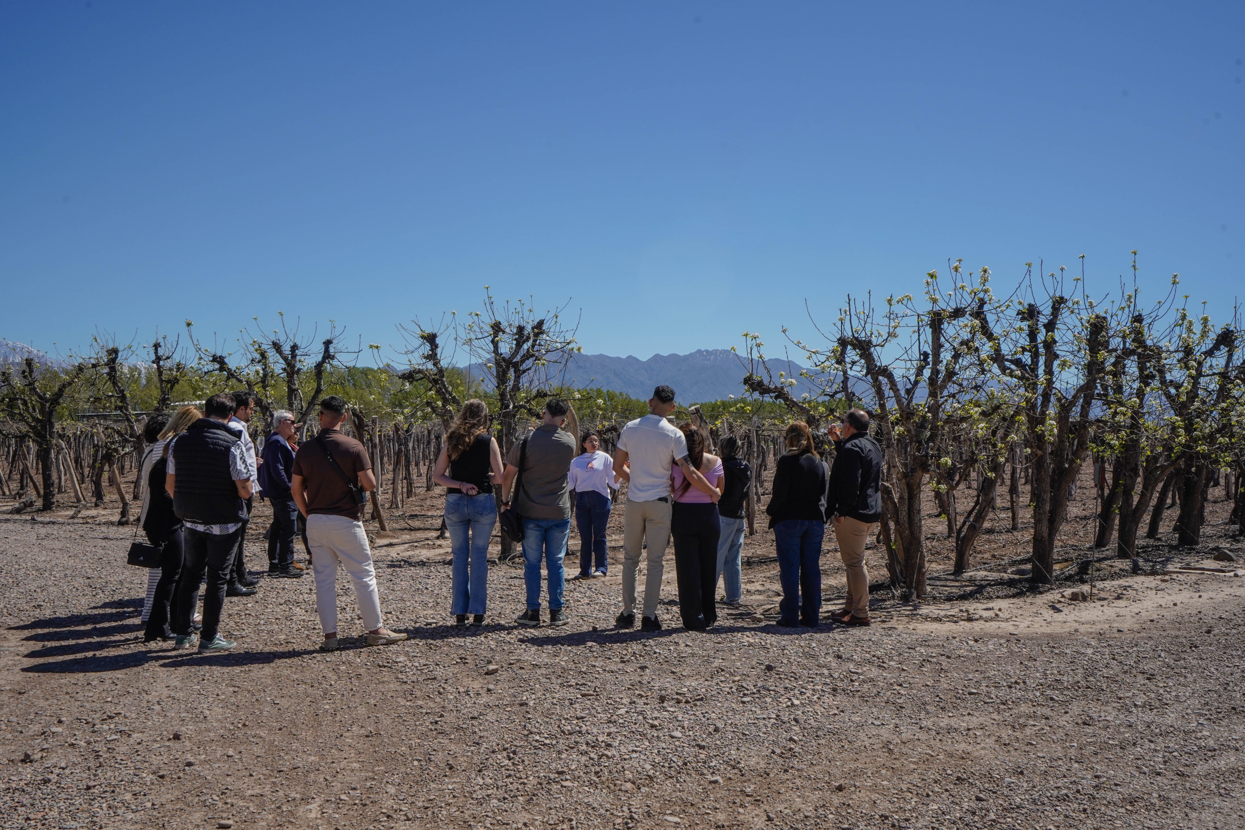 Sábados en la bodega
